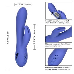 Calexotics California Dreaming Beverly Hills Bunny Vibrator