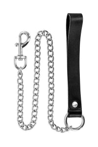 Metal Leash with Leather Handle