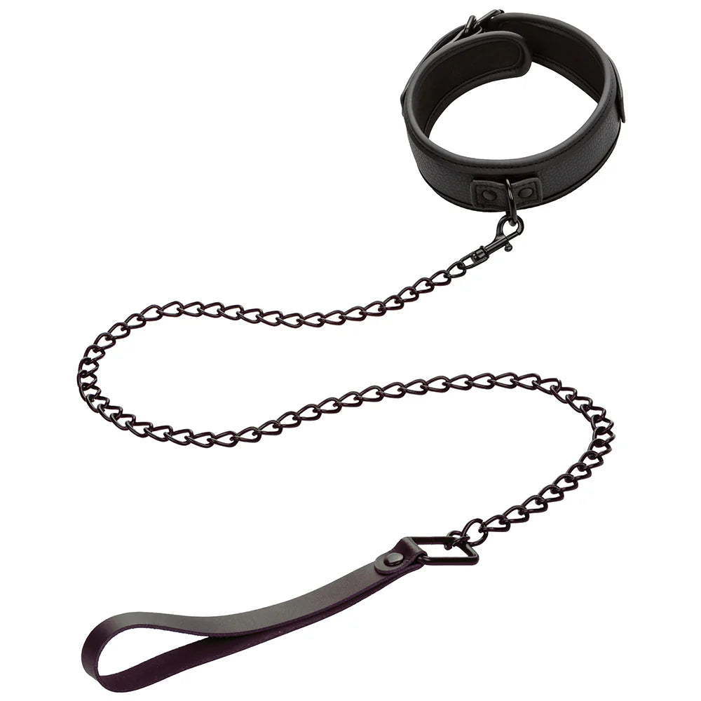 XO Nocturnal Collar & Leash