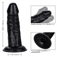 CalExotics Back End Chubby Dildo in Black Buy in Toronto online or in-store  Edit alt text