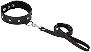 Black Leash and Collar